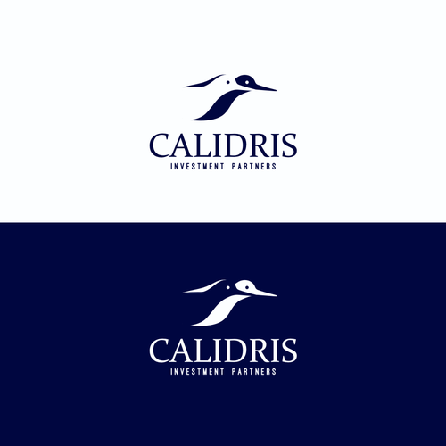 New Private Investment Firm Design by mnuh