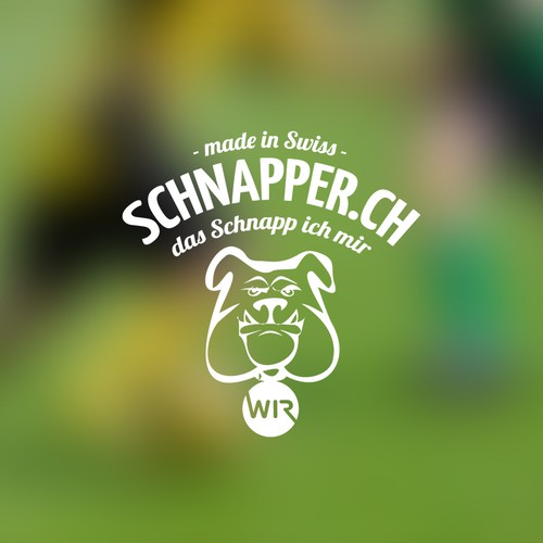 Logo & hosted website contest entry by Designer SE15