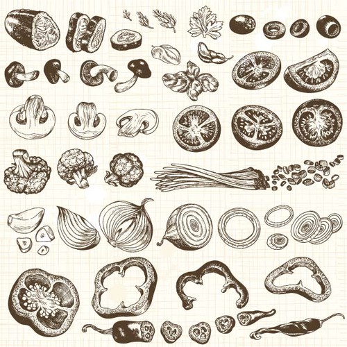 veggie-illustration2 [Converted].jpg
