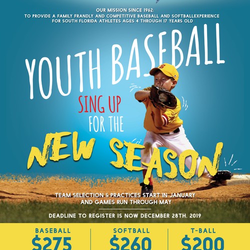 do professionally and creative baseball flyer in 24hr