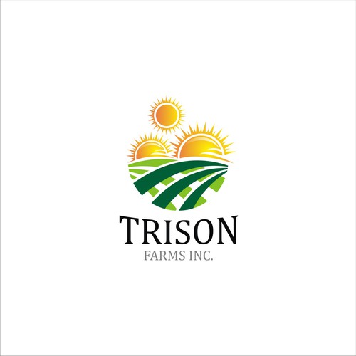 Create a modern logo incorporating 3 suns/agriculture for a well known Canadian marketing company Réalisé par heosemys spinosa