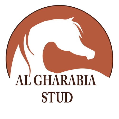 Arabian Horse LOGO Design by azzedine talbi