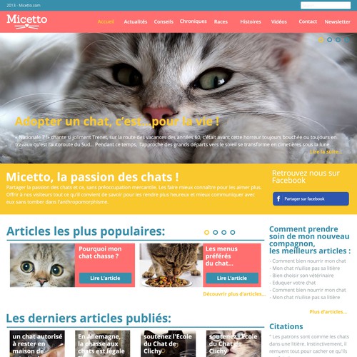 Web page design contest entry by e.peninb