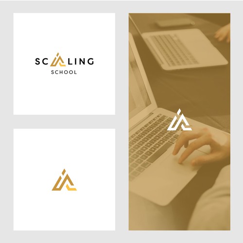 Design A Logo + Brand Guide For The "Scaling School" Design by Oui Oui! Design