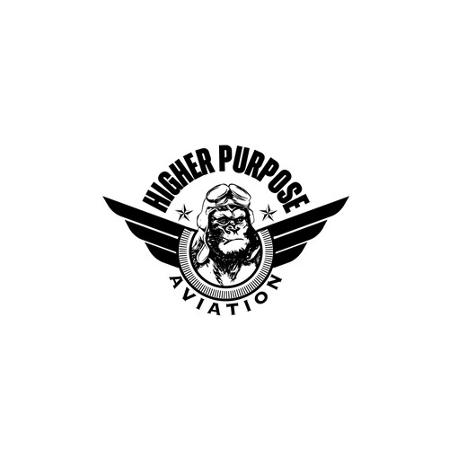 Higher Purpose Aviation Design by RadicalMind