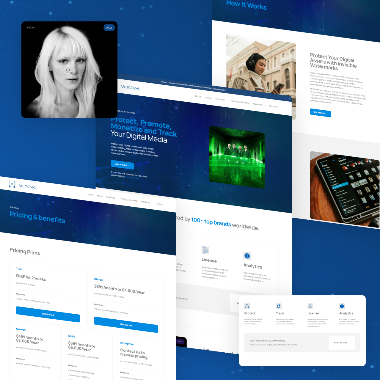 Dev Web Team - Marketplace - Squarespace