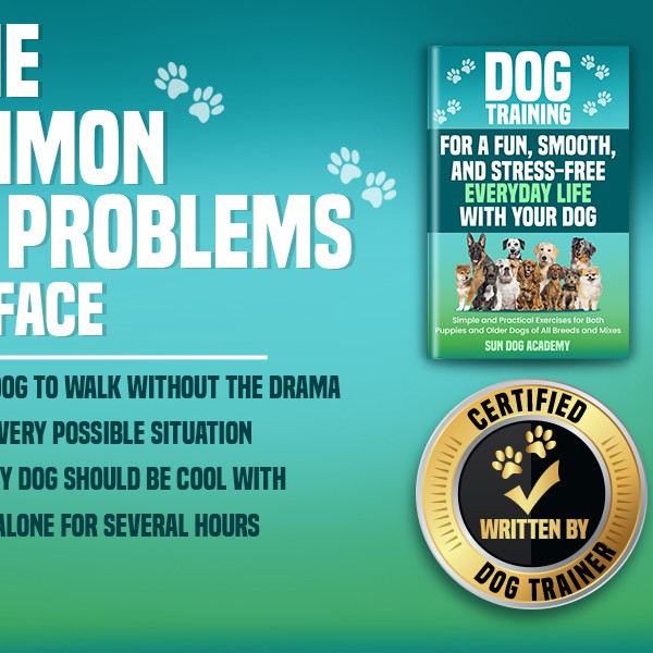 Amazon A+ content design