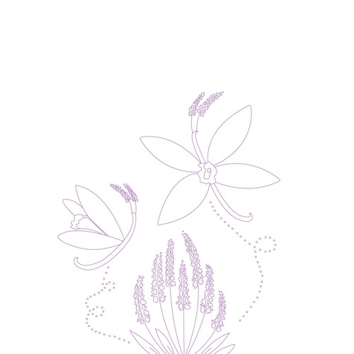 Create Whimsical Line Art Illustration for Organic Soap & Lotion Company Design by RachelBowen