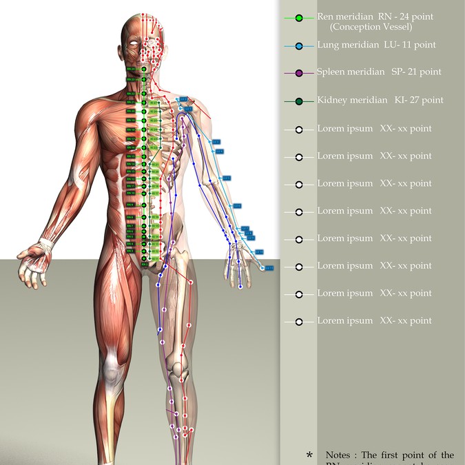 Drawings for front, side and back views of human body with ...