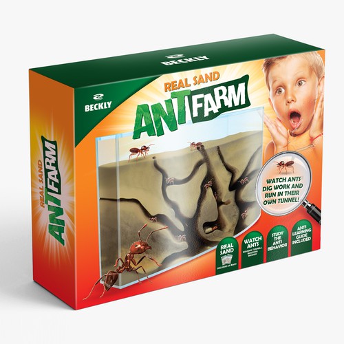 Eye Catching Ant Farm Box Design Design by tomdesign.org