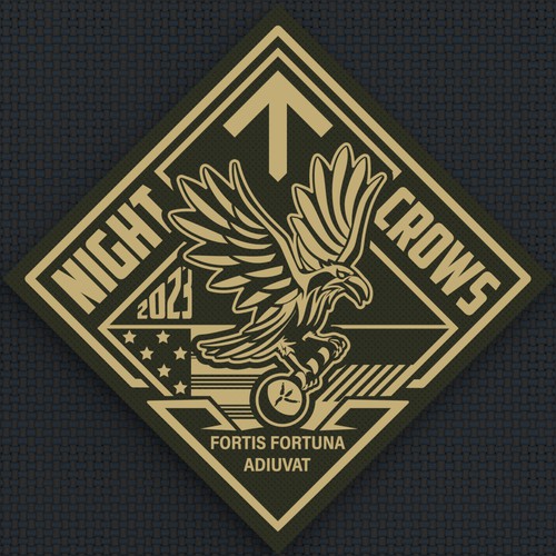 NIGHT CROWS - Military Special Operations Unit Logo design contest - GER/US Design by Sasha Løft