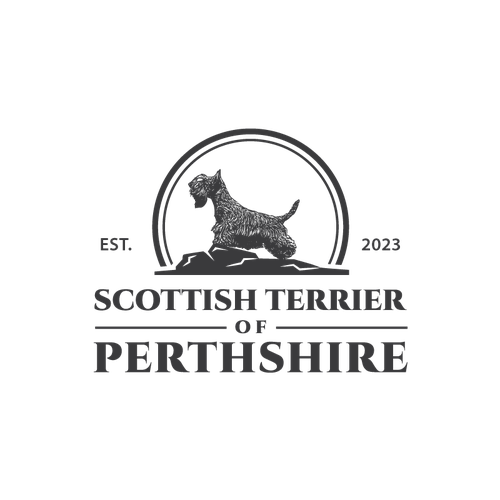  contest entry by RENEGRAPIX