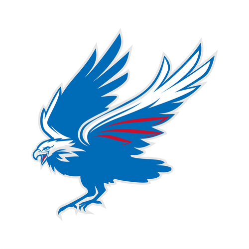 High-Flying Eagle Logo for a High-Performing School District デザイン by indraDICLVX