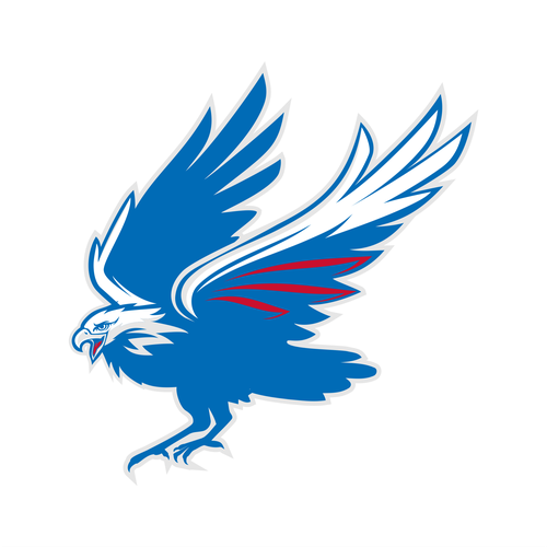 High-Flying Eagle Logo for a High-Performing School District Diseño de indraDICLVX