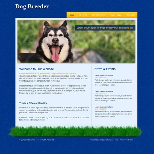 1-3 Page Website Template Design von xara