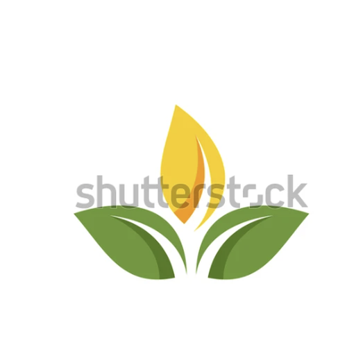 stock_leaf_2.PNG