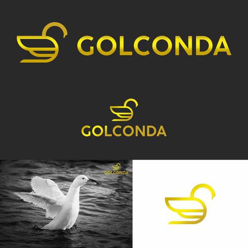 Financial services firm needs memorable logo highlighting excellence, diligence, and innovation! Design by -psyble-