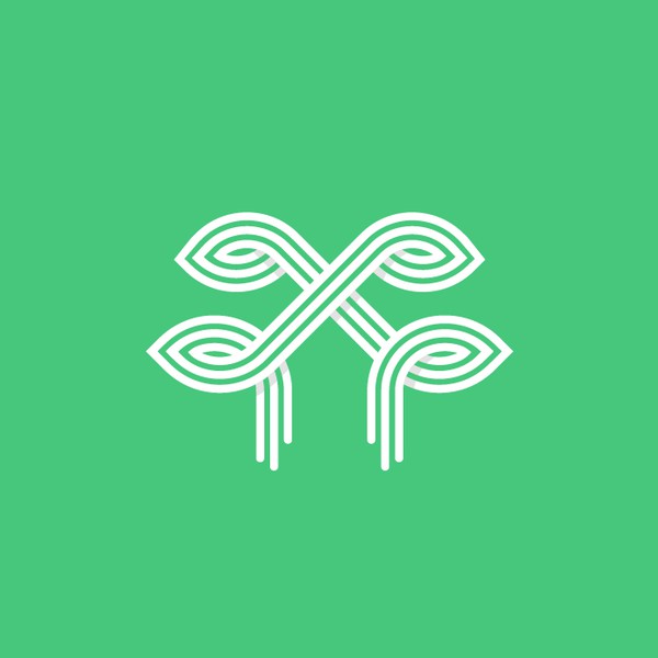 Arborhaus land design and tree care