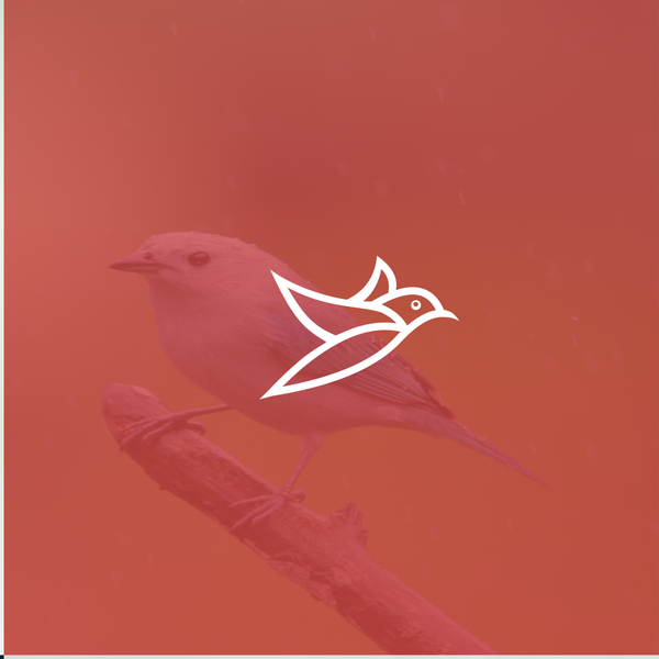 Design by ♥ Phobito™ titled "Simple , outline of the bird  ."