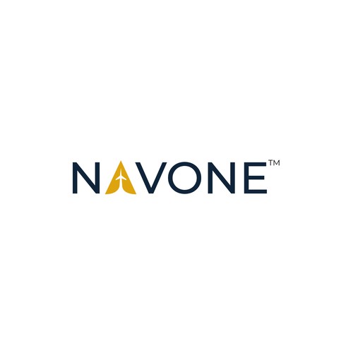 NavOne Logo - Sub Brand of NavPass.aero Design by RB72