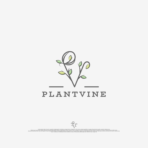 Vintage But Earthy Logo For Plantvine Logo Design Contest