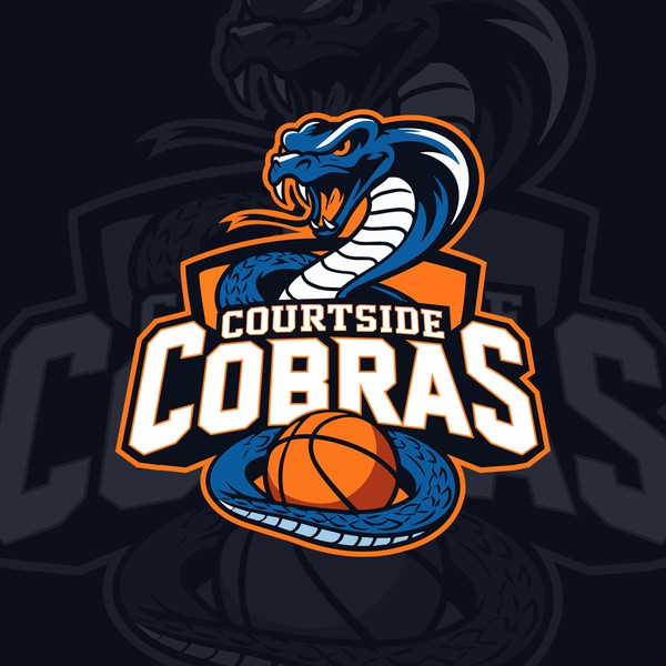 basketball logo!