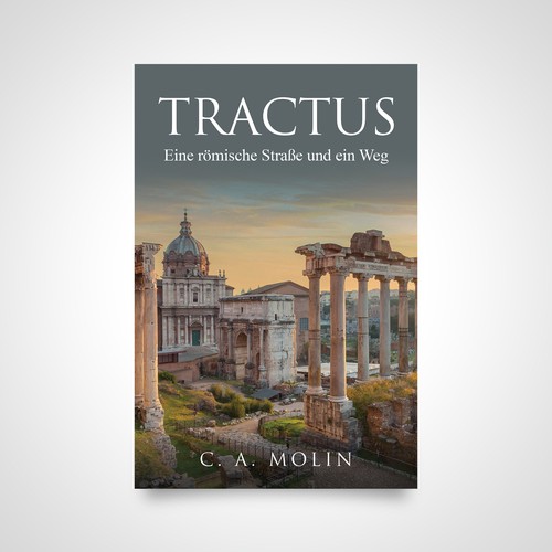 Book cover contest entry by Luigi99