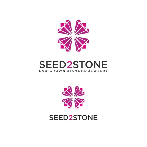 S2S new LOGO Design by Deine Anweisungen