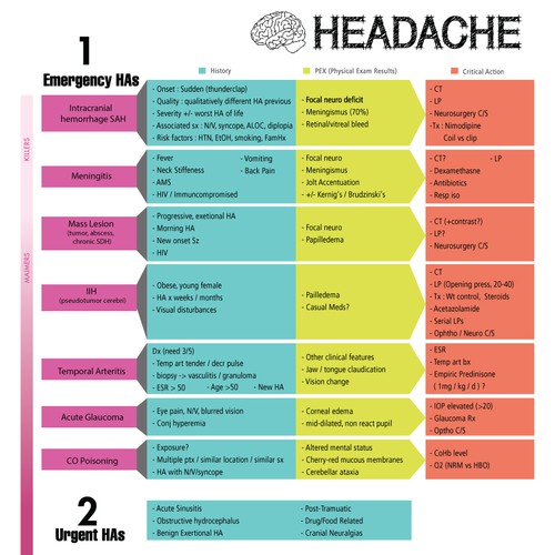 Infographic/Algorithm for ER doctors to improve patient care Design by lnr0930