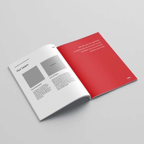 Brochure contest entry by IrinaN