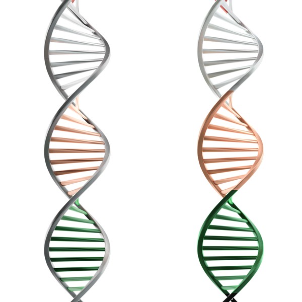 Powerful DNA Helix in matted steel design