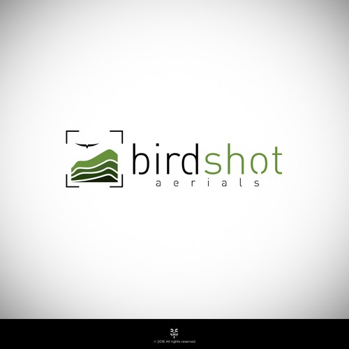 Create a high-flying view for Birdshot Aerials Design por Mastah Killah 187