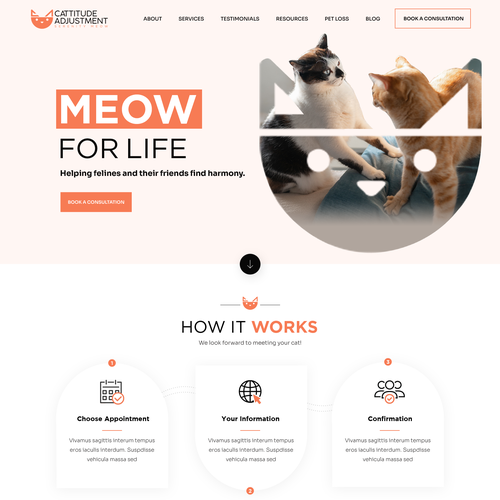 Create a website refresh for a cat behavior consultant! Design by Pinku