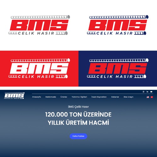 Design the logo of an exporting steel mesh company Design by Highmax