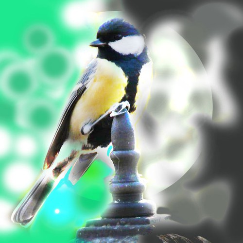  contest entry by 3abdelilah