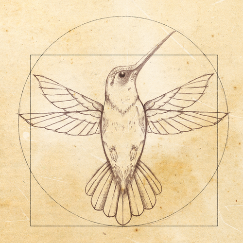 Leonardo da Vinci - Hummingbird Drawing Diseño de JOHNN L. JONES
