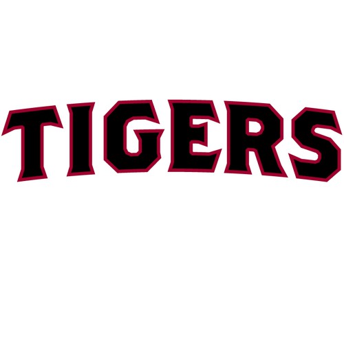 Diseño de Tigers Baseball Organization de REDPIN