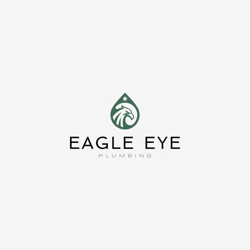 Eye catching and very marketable logo for plumbing company. The company name is Eagle Eye Plumbing Design by Yantoagri