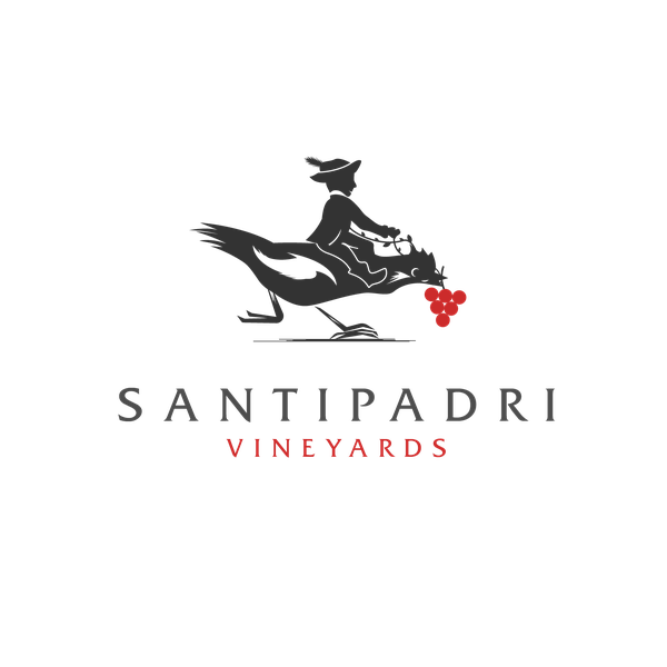 Grape wine is the best in the world, a fun sparkling adventure)