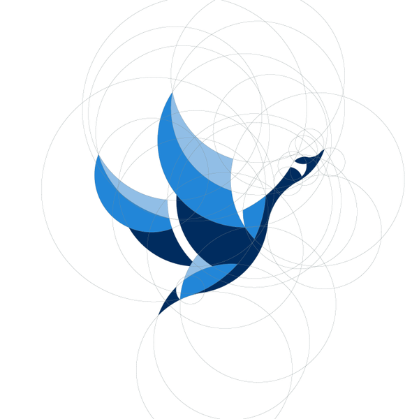 Flying goose logo for e commerce