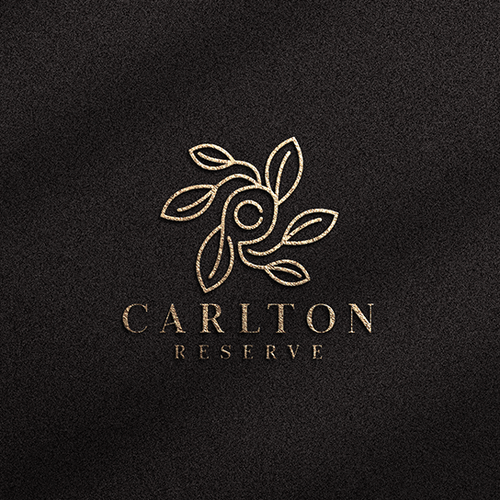 Luxurious, Exclusive, & Modern Logo Design for a Newly Constructed Florida Community Design by airdesigns24