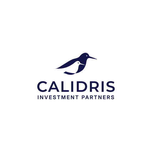 New Private Investment Firm Design by LOGStudio