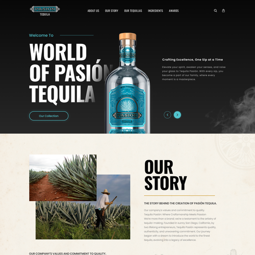 Web page design contest entry by ⚡️unbox.style⚡️