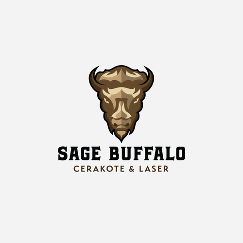 Design an American Bison themed logo for a specialized coating company in Montana. Design réalisé par gezwaters