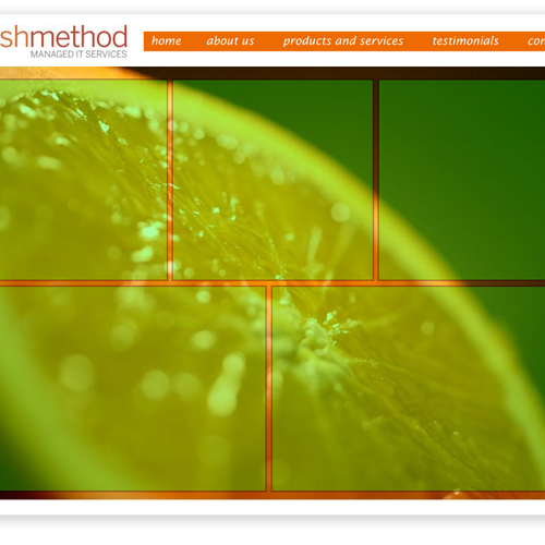 Freshmethod needs a new Web Page Design Ontwerp door radic