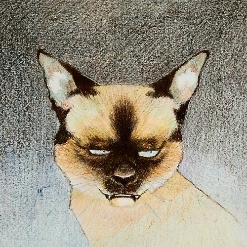 Design finalista por bill kusby ant