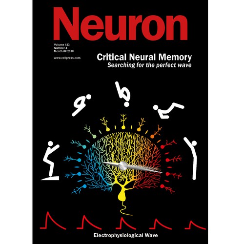 Illustration for the cover of prestigious neuroscience journal, Neuron ...