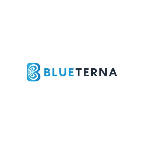 Blueterna Branding contest Design by ♛ AHSAN