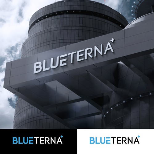 Blueterna Branding contest Design by Imam H.