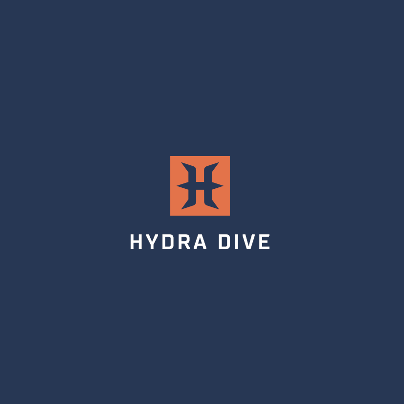 Diver Logos - Free Diver Logo Ideas, Design & Templates